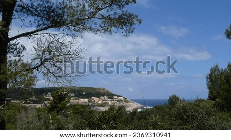 view on the coast and ocean from a hill with a lot of trees
