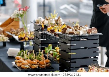 Snacks for the holiday, catering. Various light snacks. Catering plate. Assortment of sandwiches on the buffet table. meat, fish, nuts, cheese, vegetable canapes ofcelebration of important event Royalty-Free Stock Photo #2369319431