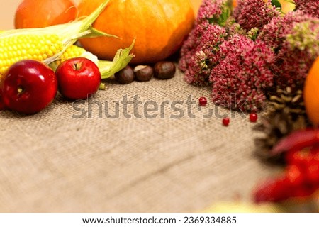 Autumn background with space for copy, apples, pumpkins and flowers. Autumn harvest, postcard, background, autumn background with vegetables.
