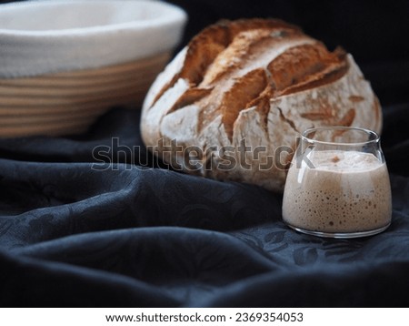 Fresh fermented sourdough starter with country bread and banneton basket, on black damask fabric background