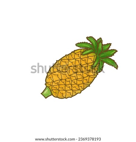 Simple hand drawn illustration of pineapple