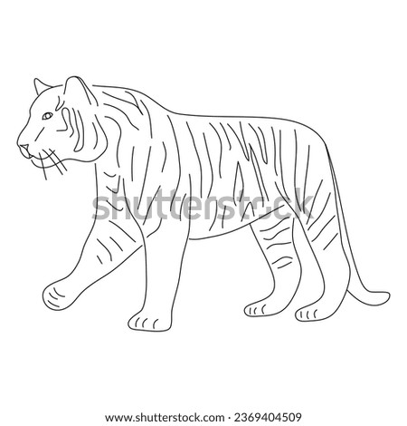 Sketch drawing of a Tiger isolated on a white background. Vector editable stroke.