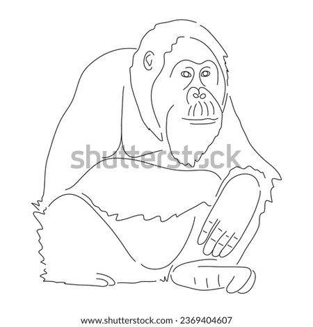 Hand-drawn Orangutan. Vector editable stroke.