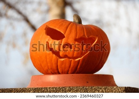 Pumpkin face adorns the garden wall in October.
