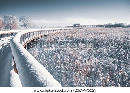 frozen winter landscape photos, tree