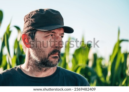 Contemplative farmer in corn field. Farm worker wearing trucker's hat posing in agricultural plantation. Selective focus. Royalty-Free Stock Photo #2369482409