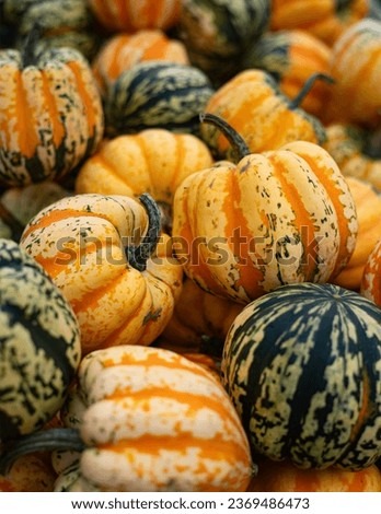 Decorative pumpkins that fill the whole picture