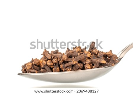 Dry aromatic cloves in a metal spoon, macro, isolated on a white background.