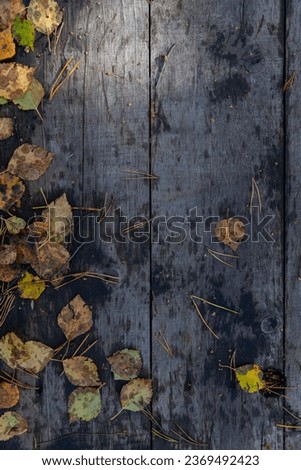 Autumn leaves on wooden background. Top view, copy space. Wooden background with autumn leaves. Natural background. Old wooden planks with autumn leaves. 