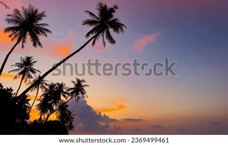 Banner Summer with colorful theme as palm trees background as texture frame background  