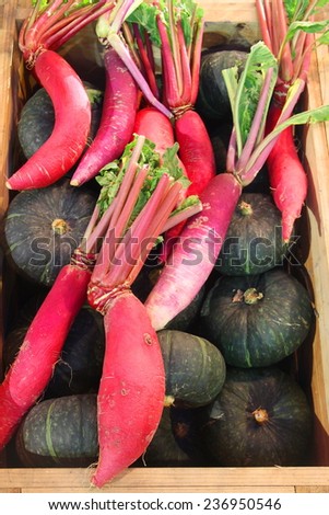  Beetroot and pumpkin ,Fresh organic seasonal vegetables - pumpkin, squash, beetroot on wooden background, fruit box in shop