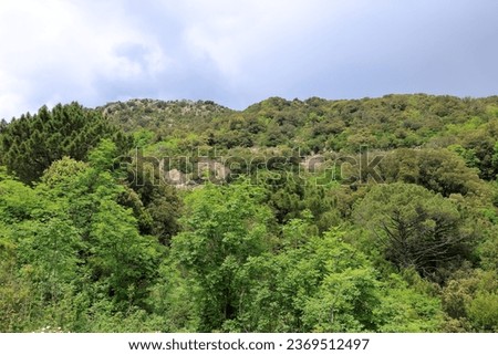 Mountain landscape In the south of Corsica on the way to Porto-Vecchio in France