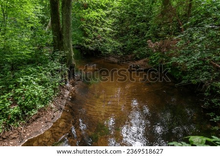 Abstract photo of a forest landscape with a flowing stream. Forest stream, river bed. Beautiful forest nature, peace, relaxation, mental health, peaceful. Zibgrava health trail, Latvia.