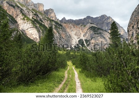Valley Val Travenanzes and path way rock face in Tofane gruppe, Alps Dolomites mountains, Fanes national park, Italy Royalty-Free Stock Photo #2369523027