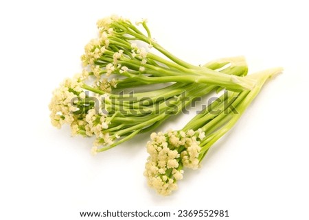 cut stick cauliflower on white background