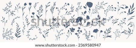 Set of elegant silhouettes of flowers, branches and leaves. Thin hand drawn vector botanical elements Royalty-Free Stock Photo #2369580947