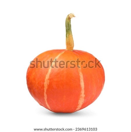 One whole ripe pumpkin isolated on white