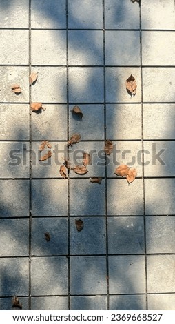 Abstract pattern of natural andesite stone for a car garage in the photo during a sunny day