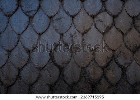 Front image of a roof with slate tiles as textured scales in warm blue tones. Concept backgrounds and templates.