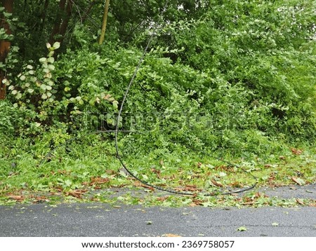 A power line wire down from the pole and lying alng a road after a storm.