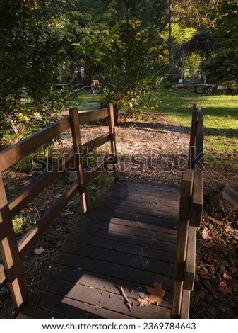 A small wooden bridge is in the foresr