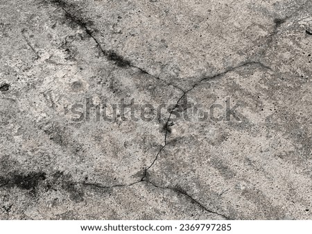 the cracked lines on the concrete.