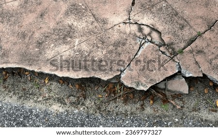 crack in the rock wall.