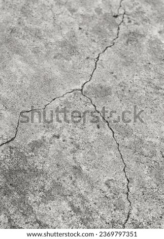 a crack in the concrete.