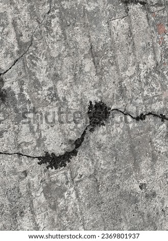 a crack in the rock.