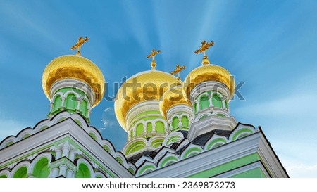 church domes on the winter sky background