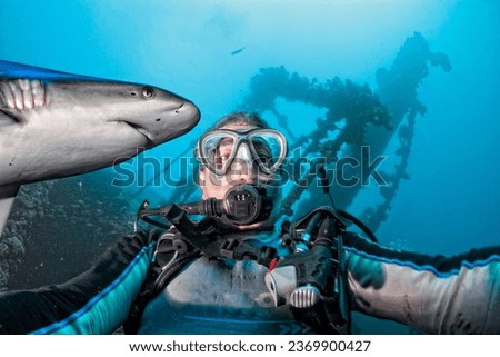 A grey shark ready to attack a scuba diver while taking picture