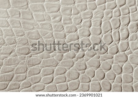Texture of light cream genuine patent leather close-up, embossed under the skin reptile. For modern pattern, wallpaper