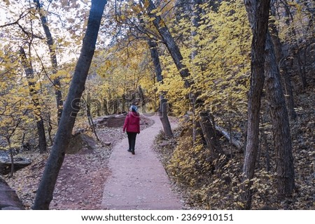 Trekking at the woods, autumn season Zion National Park view, Women solo traveler walking in the woods, freedom concept