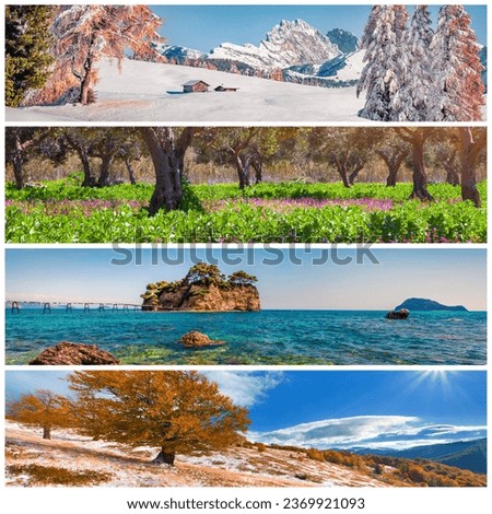 Set of beautiful panoramic views of the four seasons. Stunning landscapes of high snowy mountains,  blooming olive garden, seascape and red tree forest arranged in a square.