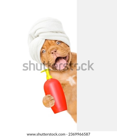 Happy Mastiff puppy with towel on it head looks from behind empty white banner and holds bottle of fleas shampoo. isolated on white background