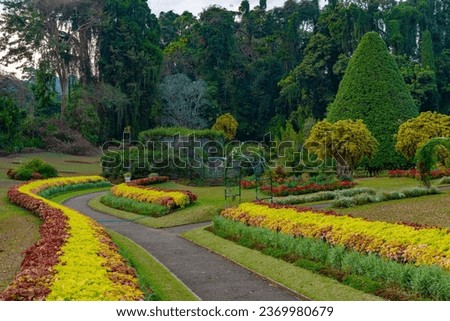 Royal botanical gardwen in Kandy, Sri Lanka. Royalty-Free Stock Photo #2369980679