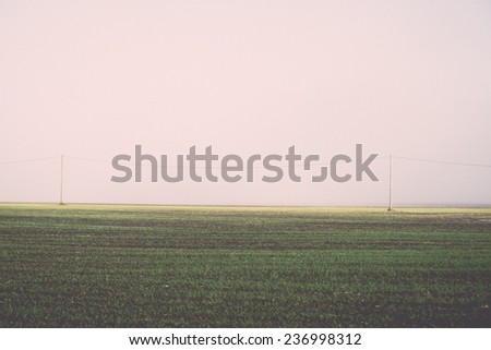 beautiful green meadow in heavy mist with lonely trees - retro, vintage style look