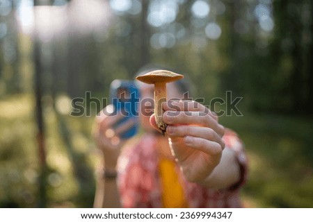 Taking picture of mushroom in woods with smartphone. Autumn holiday with nature. Finds in forest, mushroom in hand with blurred hiker with mobile phone using app to identify mushroom. Picking season.