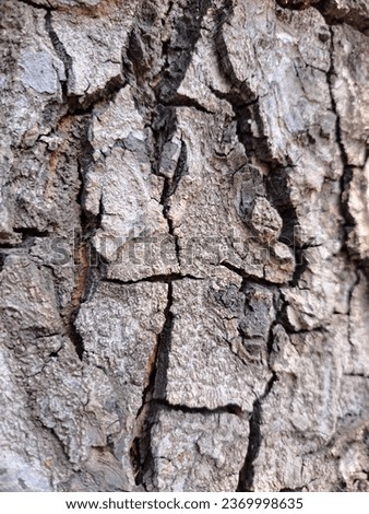 old tree bark worn away by age Royalty-Free Stock Photo #2369998635
