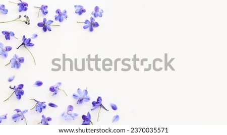 Top view image of violet delphinium flowers composition over white isolated background