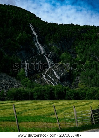 Exclusive detailed waterfall of the mother nature. Print ready.