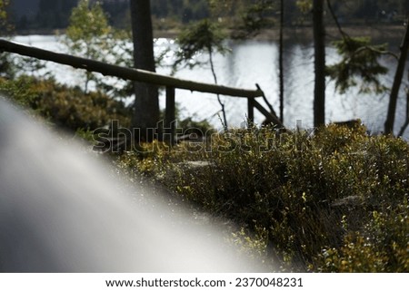 wooden railing to the lake 
