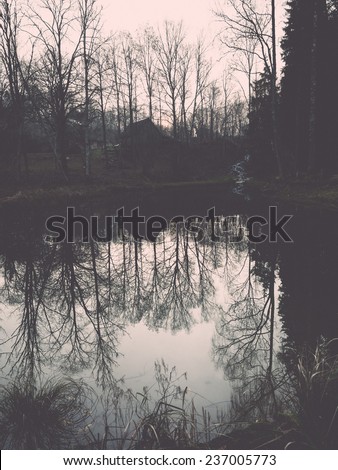 clear morning by small lake with reflections in latvia - retro, vintage style look