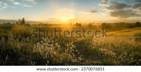 Beautiful natural panoramic countryside landscape. Blooming wild high grass in nature at sunset warm summer. Pastoral scenery. Selective focusing on foreground. Royalty-Free Stock Photo #2370076851