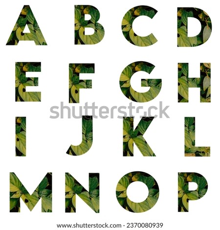 a collection of letters or alphabet and punctuation designs, with a beautiful green leaf texture and a white background