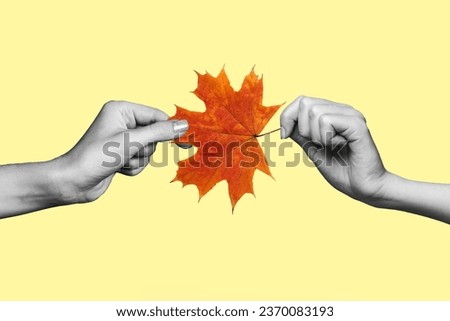 Poster placard image collage of two hands hold maple leaf dry plant isolated on drawing beige color background