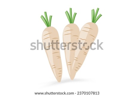 Group of three white carrots icon isolated on white background, vector illustration