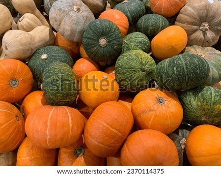 Pumpkin, pumpkin what do you see?