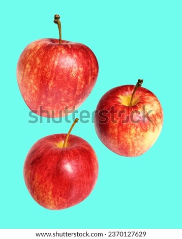 Red Gala apple isolated with clipping path, no shadow in green background, fresh fruit