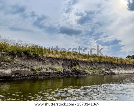 Bad farming practice of planting row crops to the edge of a waterway. Royalty-Free Stock Photo #2370141369